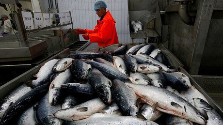 Norway fails to find new buyers for its fish after losing Russian market