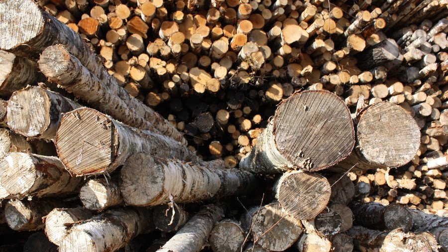 ‘Bulletproof wood’ could revolutionize construction & defense industries (VIDEO)