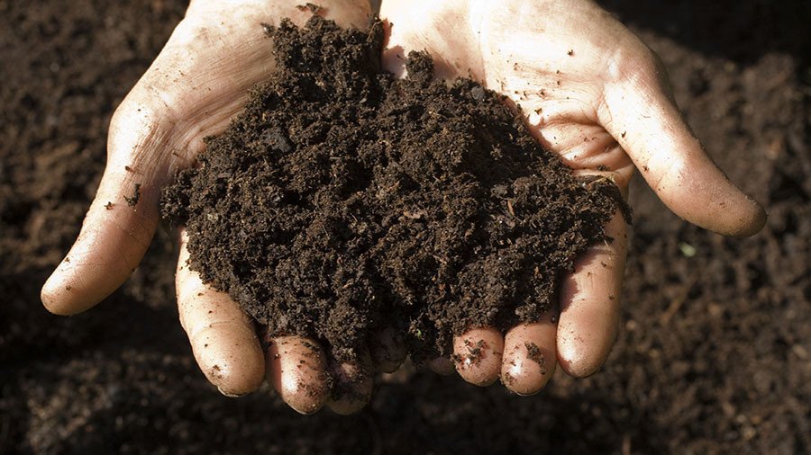 New antibiotic unearthed from the dirt