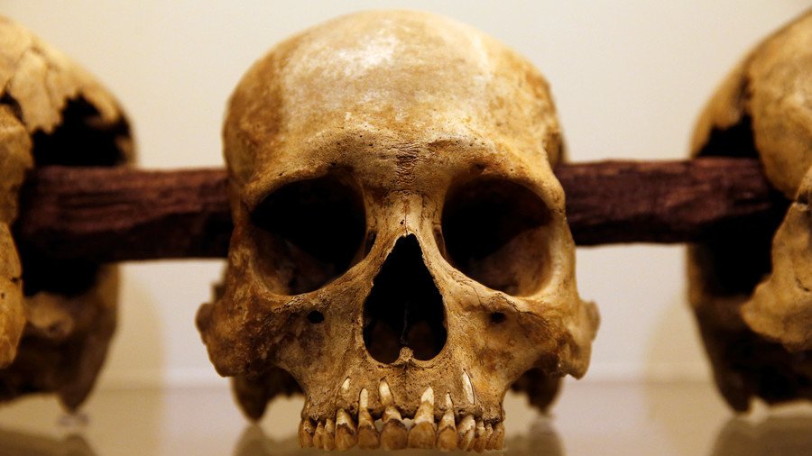 Sweden’s 8,000yo skulls were brutally smashed and mounted on stakes – study
