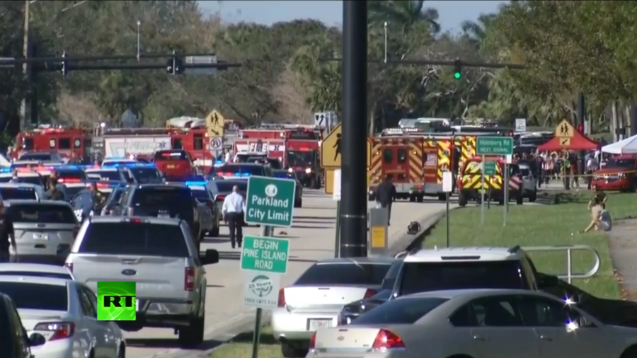 Mass shooting in Florida school leaves 17 dead