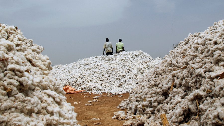 Top Indian firms received govt warning for illegally spreading Monsanto GM cotton – reports