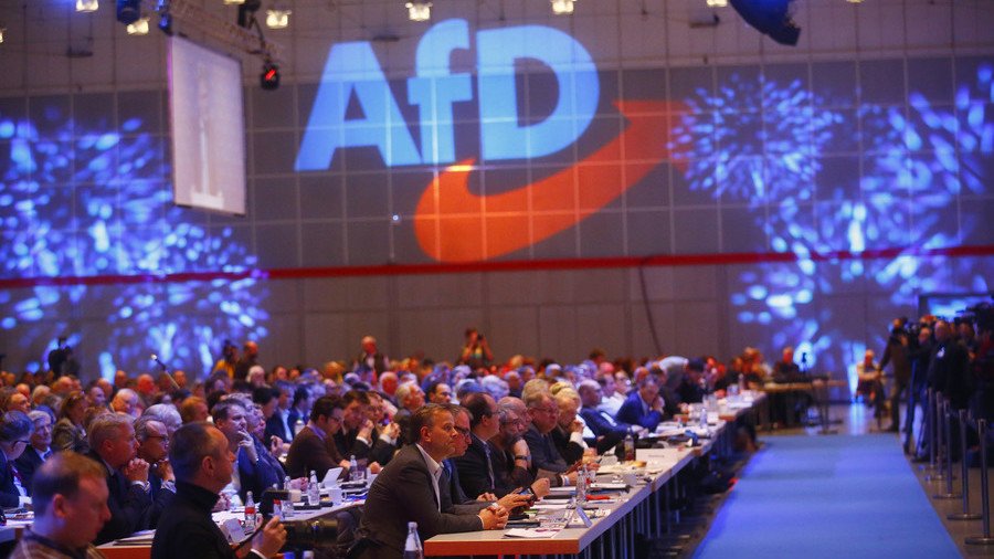 German far-right AfD surpasses Social Democrats to become 2nd strongest party – poll