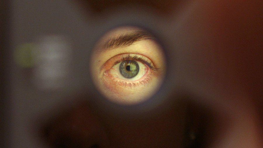 Eye spy heart disease: Google retinal scan 'can diagnose cardiac problem'