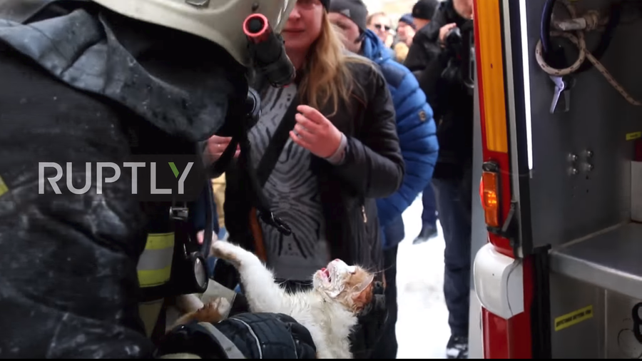 Heroic Russian firefighters revive ‘lifeless’ cat after tragic apartment blaze (VIDEO)