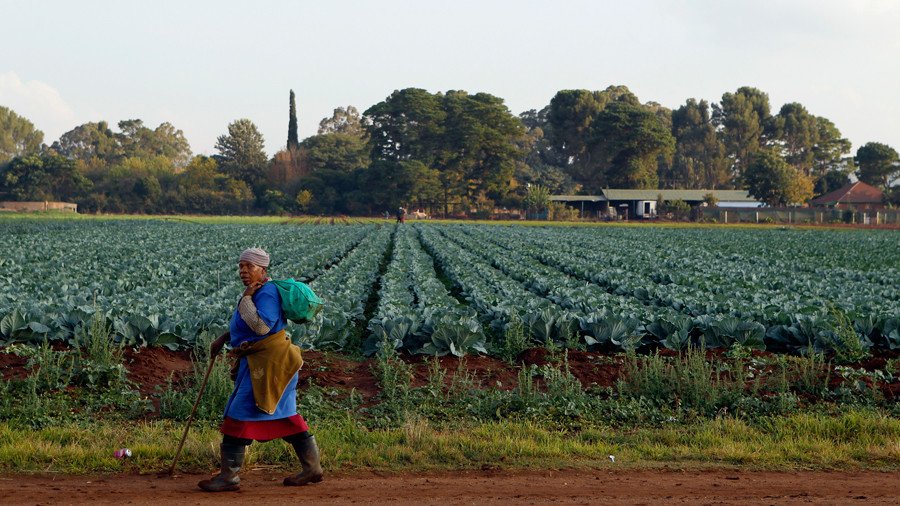 ‘Time for reconciliation over’: South Africa votes to confiscate white-owned land