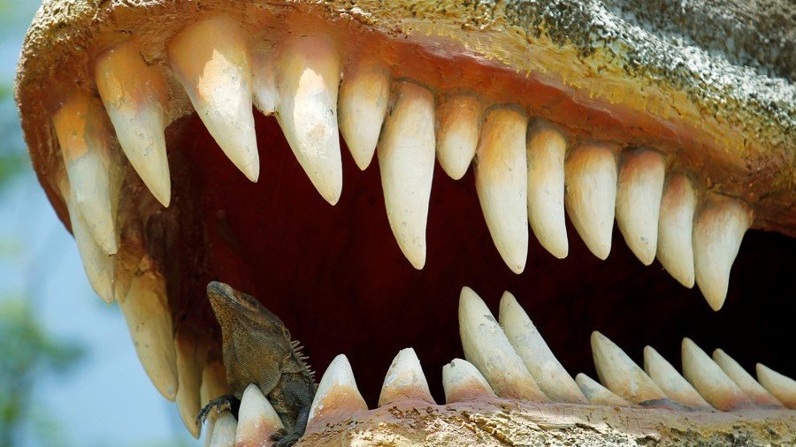 Small in stature, big in bite: Prehistoric reptile’s mighty jaws recreated (VIDEO)