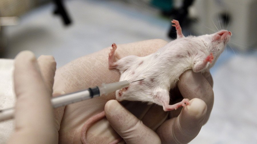 Rodent explosion: Lab ‘accidentally’ breeds 180,000 mice, conducts unauthorised experiments
