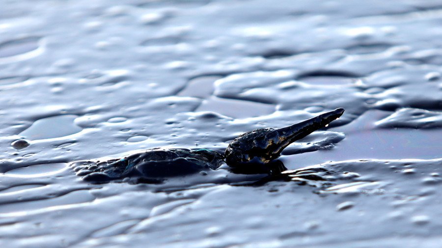 2,400 animals dead, 100s of residents evacuated after Colombia oil spill (VIDEOS, PHOTOS)