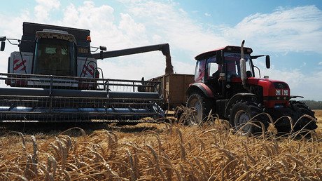 Agriculture makes much more money for Russia than arms exports – Putin