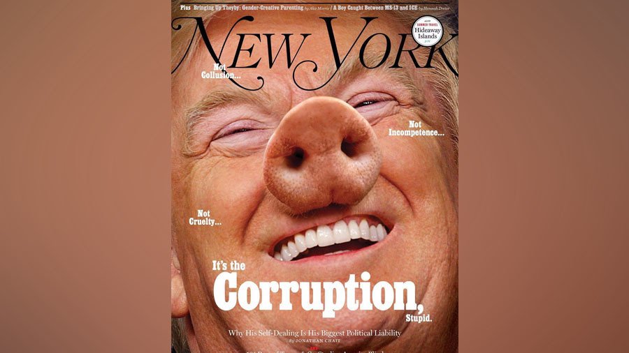 From ‘amazing’ to ‘disgusting’: Netizens divided over New York Mag Trump cover