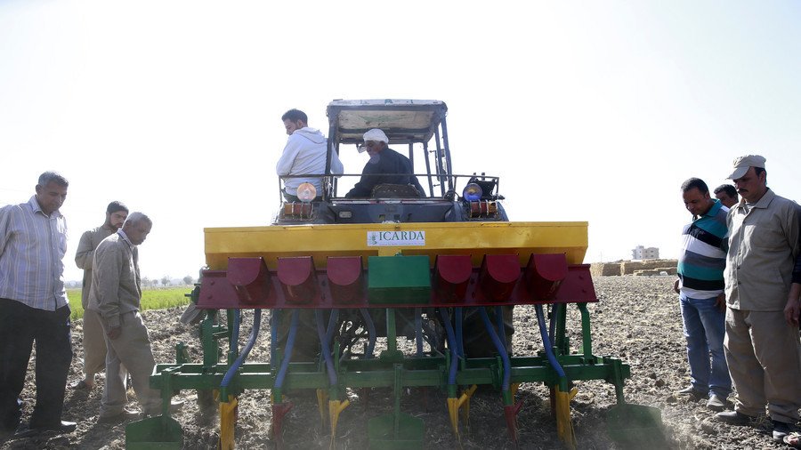 Seed bank saved from war to serve Syrian agricultural resurrection