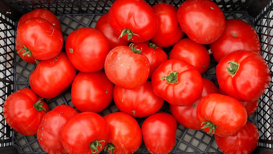 Russia scraps ban on Turkish tomatoes