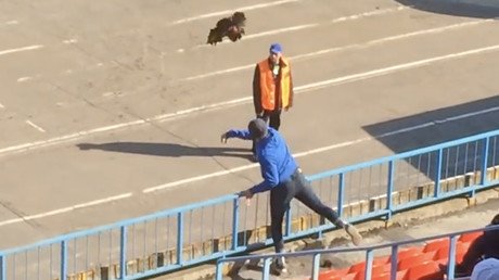 ‘He’ll be jailed for this!’ – Russian fan throws live rooster at manager (VIDEO)