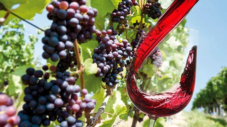 Global wine production falls to 60-year low as harsh weather hits European vintage