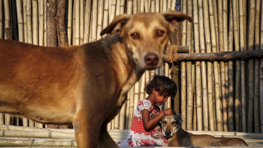 Packs of wild dogs maul 6 children to death in India