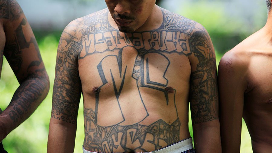 Animals times ten: White House doubles down on Trump’s MS-13 remark