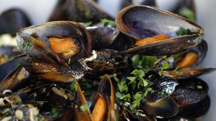 US opioid crisis: Mussels off Seattle found with oxycodone in their system