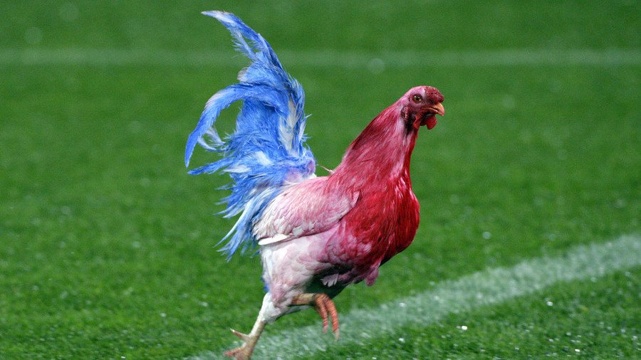 Putin receives miniature Gallic rooster from Macron-led delegation at St. Petersburg forum (VIDEO)