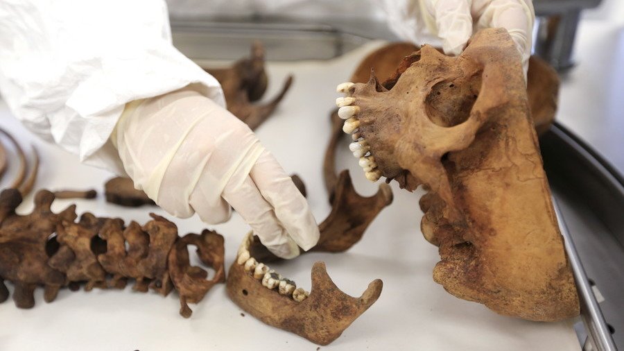 Body farm in UK? Britain ‘mulls’ creating grisly research center with decaying humans