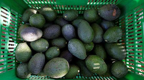 Chilean villagers suffer water shortages because of Europeans’ love for avocado
