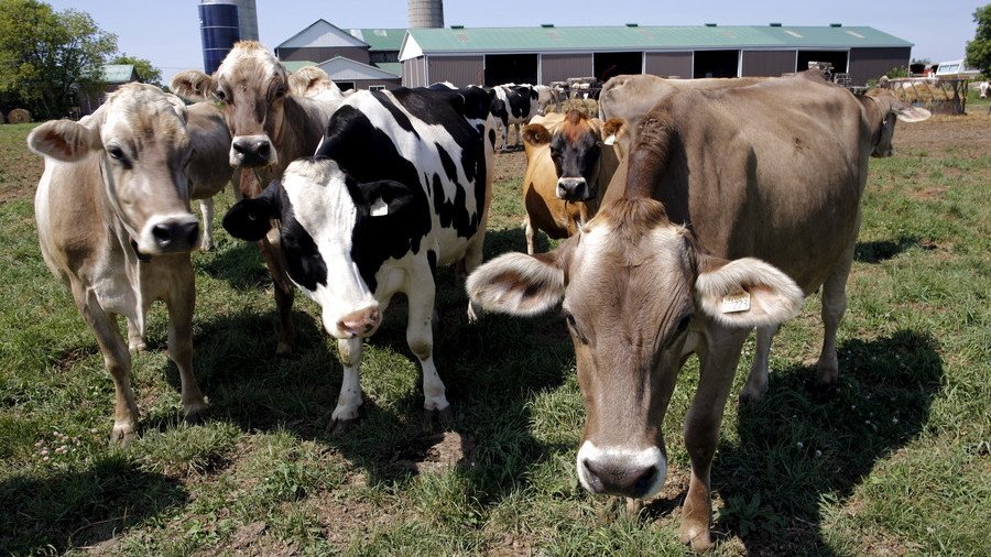 Be nice & don’t spread manure: Canadian farmers asked to avoid smelly fertilizer during G7