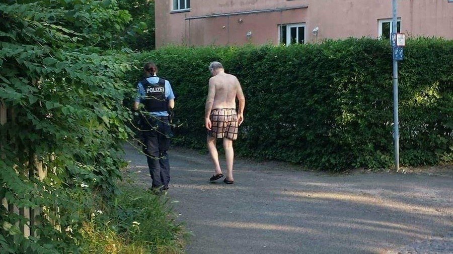 Emperor’s new clothes? Germany's Gauland ridiculed after theft leaves him in his underwear (PHOTO)