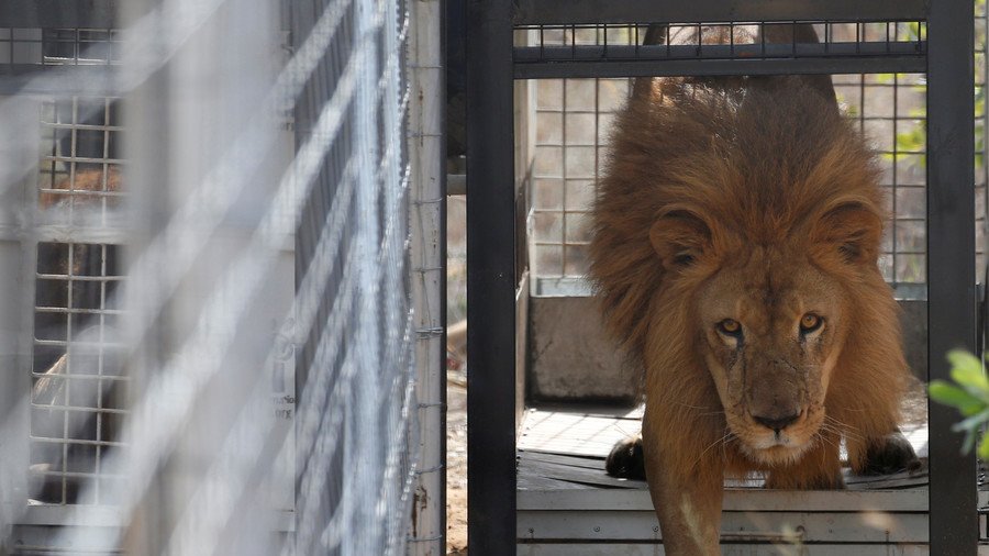 Caged Lions: England’s World Cup training base in St. Petersburg to be surrounded by 24ft fence