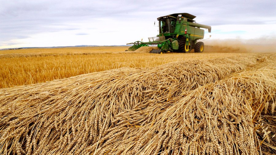 Japan suspends sale of Canadian wheat over discovery of Monsanto-made GMO