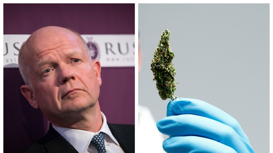 ‘Policing cannabis like trying to win back the Empire’: Ex-Tory boss calls time on govt drug policy
