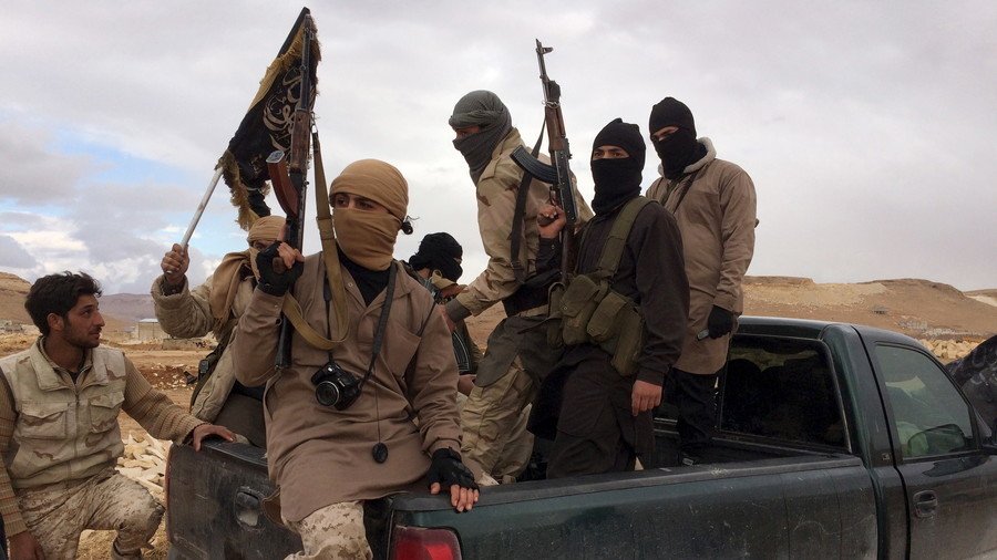 ‘Al-Qaeda in Syria is losing in spite of us’ – Ron Paul