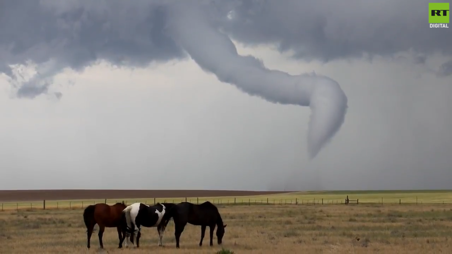 Horses grazing in face of swirling tornado captured in stunning VIDEO