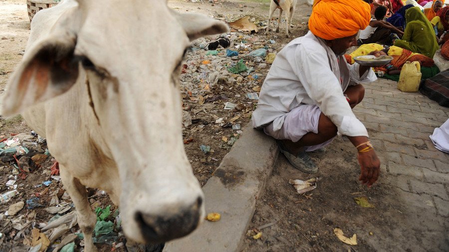 Man beaten to death by mob in India over alleged attempt to slaughter cow