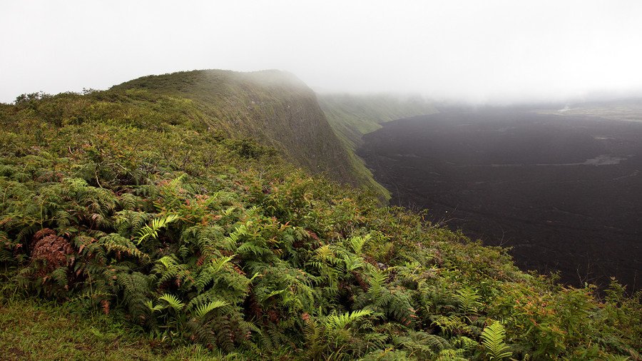 ‘Colossus waking up’: Volcano eruption triggers evacuations in Ecuador’s Galapagos Islands (PHOTOS)