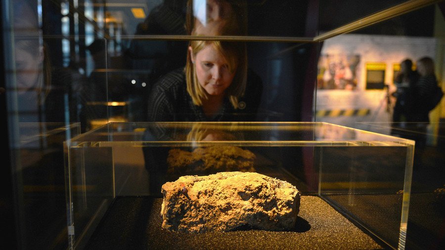 Fly hatching fatberg boosts visitors at Museum of London