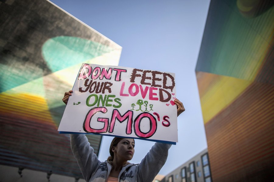 Genetically modified organisms – GMO – news and updates