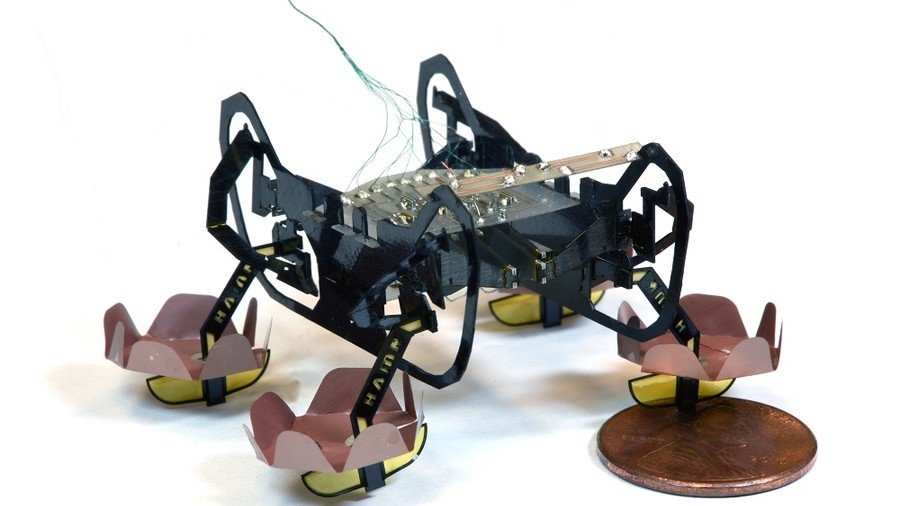 Ewww: Robotic cockroach can walk on and under water (VIDEO) 