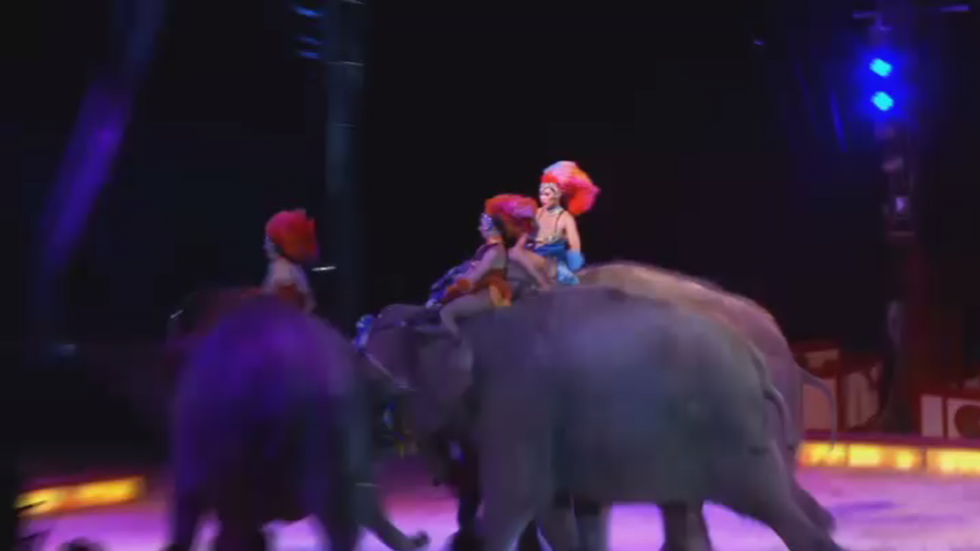 Spooked circus elephant nearly crushes German crowd mid-performance (VIDEO)