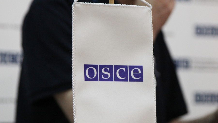 Russian delegation leaves OSCE PA session in protest over regulations violation