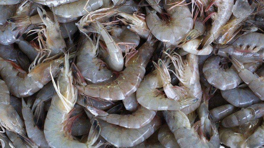 Traces of chemical weapons agent found in shrimp in Sweden