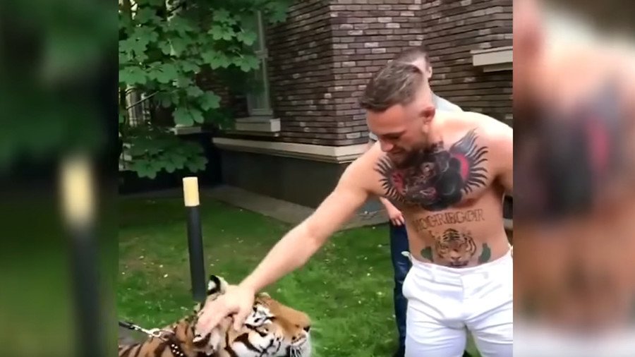 ‘Can I wrestle with it?’ Conor McGregor feeds and pets tiger in Russia after Putin meeting (VIDEO)