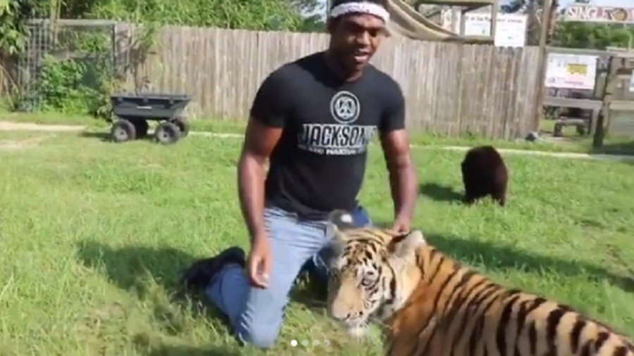'I'm a huge fan of big cats': UFC star Jon Jones wrestles with baby tiger (VIDEO)