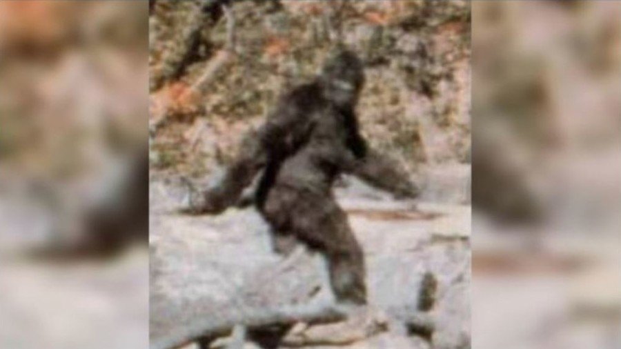 ‘Bigfoot erotica devotee’: Virginia Democrat’s incredible claim against rival Riggleman (PHOTO)