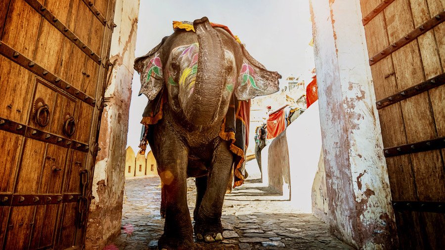 India’s economy is an elephant starting to run – IMF