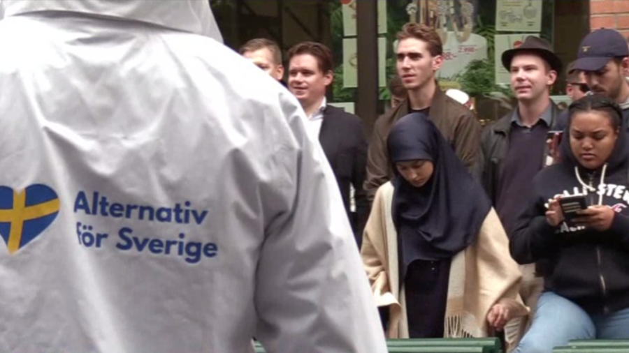 Swedish right-wing parliamentary candidate attacked by 'immigrant' during campaign meeting