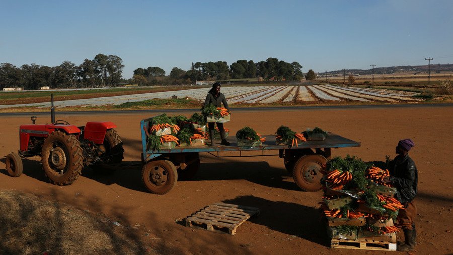 IMF backs South Africa’s plan to confiscate land from white farmers