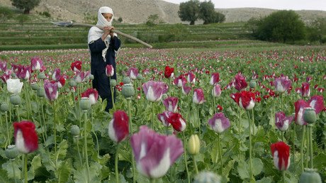 US money to support Afghan irrigation ‘helped’ poppy cultivation – watchdog