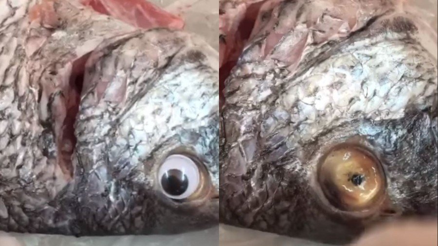 Bait and switch: Kuwait shop caught selling fish with eyes that aren’t reel (VIDEO)