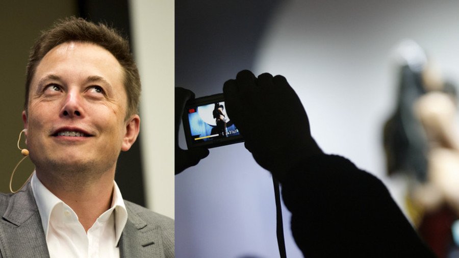 I want your Musk: Tesla CEO offered $150k for weed-themed porno role