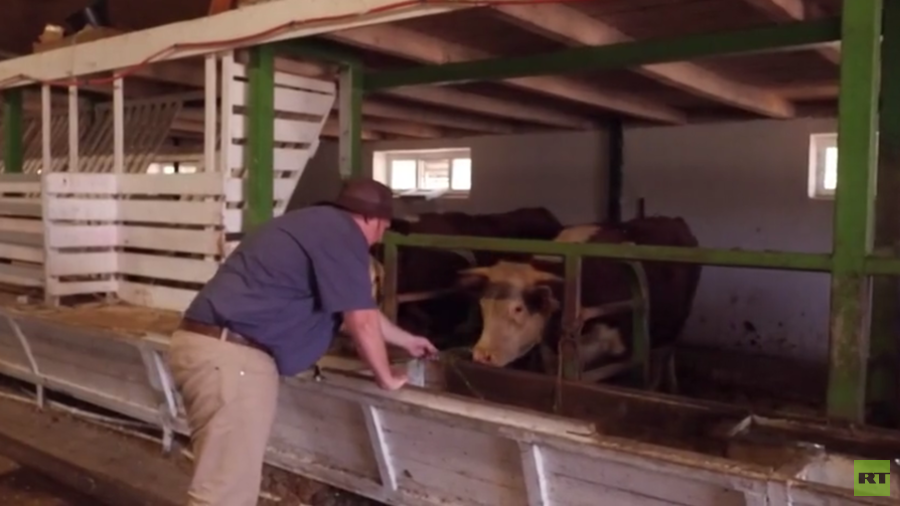 New home in Russia: White South African farmer seeks safety as land seizure looms (VIDEO)